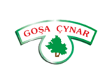 Goşa Çynar