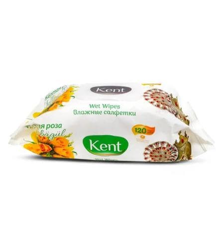 Çygly süpürgiçler "Kent" Sary roza 120 sany